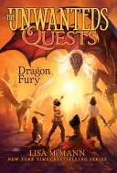 Book cover of UNWANTEDS QUESTS 07 DRAGON FURY