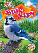 Book cover of BLUE JAYS