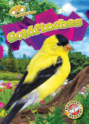 Book cover of GOLDFINCHES