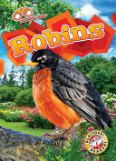 Book cover of ROBINS
