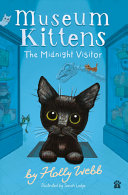 Book cover of MIDNIGHT VISITOR