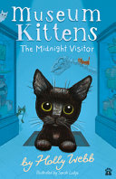 Book cover of MIDNIGHT VISITOR