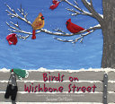 Book cover of BIRDS ON WISHBONE STREET