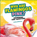 Book cover of WHY ARE FLAMINGOS PINK