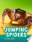 Book cover of JUMPING SPIDERS