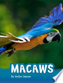 Book cover of MACAWS