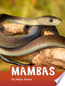 Book cover of MAMBAS
