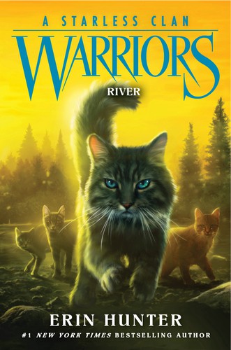 Book cover of WARRIORS STARLESS CLAN 01 RIVER