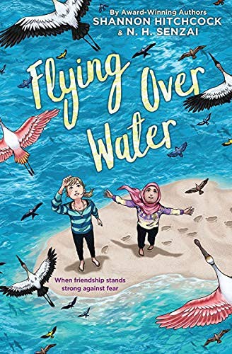 Book cover of FLYING OVER WATER