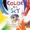 Book cover of COLOR THE SKY