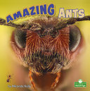 Book cover of AMAZING ANTS