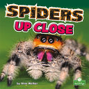 Book cover of SPIDERS UP CLOSE