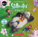 Book cover of STILLWATER - A PERFECT FIT