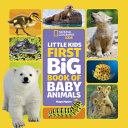 Book cover of NG KIDS 1ST BIG BOOK OF BABY ANIMALS