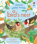 Book cover of PEEP INSIDE A BIRD'S NEST