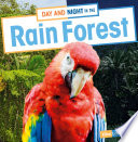 Book cover of DAY & NIGHT IN THE RAIN FOREST