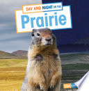 Book cover of DAY & NIGHT ON THE PRAIRIE