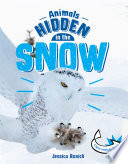 Book cover of ANIMALS HIDDEN IN THE SNOW