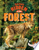 Book cover of ANIMALS HIDDEN IN THE FOREST
