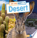 Book cover of DAY & NIGHT IN THE DESERT