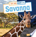 Book cover of DAY & NIGHT IN THE SAVANNA