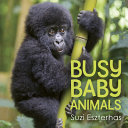Book cover of BUSY BABY ANIMALS