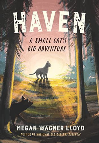 Book cover of HAVEN