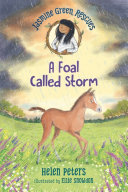 Book cover of JASMINE GREEN RESCUES - A FOAL CALLED ST