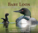 Book cover of BABY LOON