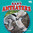 Book cover of BABY ANTEATERS