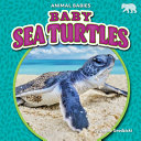 Book cover of BABY SEA TURTLES