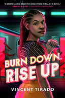 Book cover of BURN DOWN RISE UP