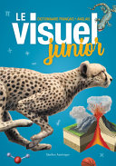 Book cover of VISUEL JUNIOR