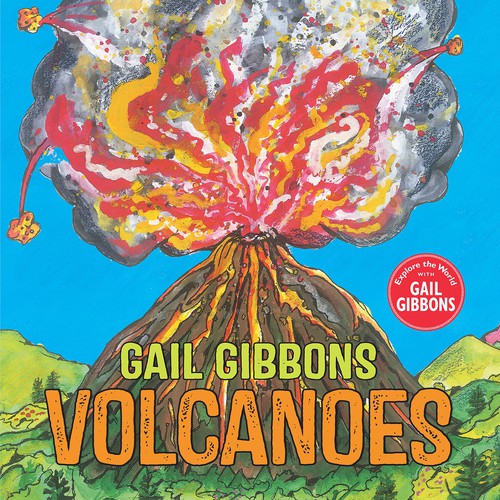 Book cover of VOLCANOES
