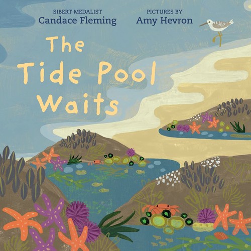 Book cover of TIDE POOL WAITS