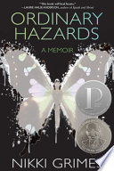 Book cover of ORDINARY HAZARDS