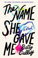 Book cover of NAME SHE GAVE ME