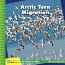 Book cover of ARCTIC TERN MIGRATION