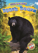 Book cover of BLACK BEARS