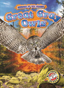 Book cover of GREAT GRAY OWLS