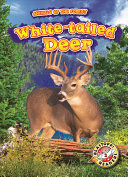 Book cover of WHITE-TAILED DEER