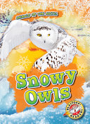 Book cover of SNOWY OWLS