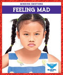 Book cover of FEELING MAD