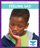 Book cover of FEELING SAD