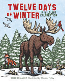 Book cover of 12 DAYS OF WINTER