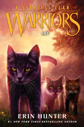 Book cover of WARRIORS STARLESS CLAN 02 SKY