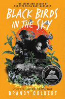 Book cover of BLACK BIRDS IN THE SKY
