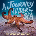 Book cover of JOURNEY UNDER THE SEA