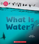 Book cover of WHAT IS WATER