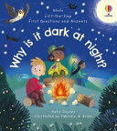 Book cover of WHY IS IT DARK AT NIGHT